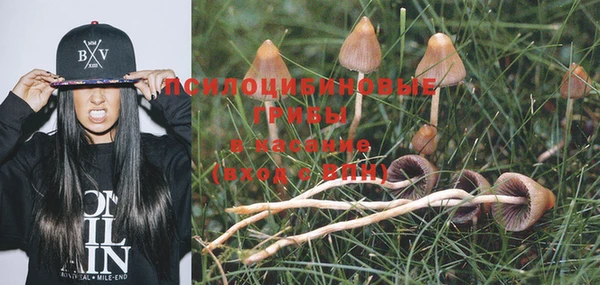 MDMA Premium VHQ Абаза