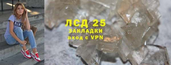 индика Новодвинск