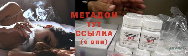 индика Новодвинск