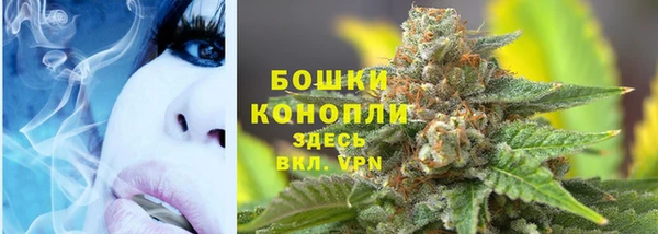 индика Абдулино