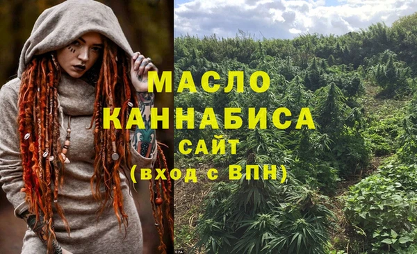 индика Абдулино