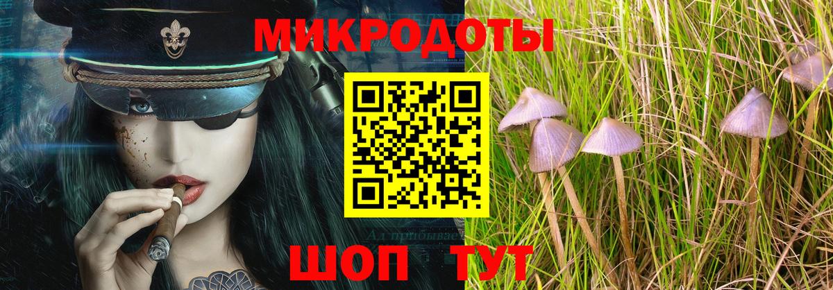 Галлюциногенные грибы прущие грибы  Псилоцибиновые грибы Psilocybine cubensis  Вход с VPN  Приморско-Ахтарск 