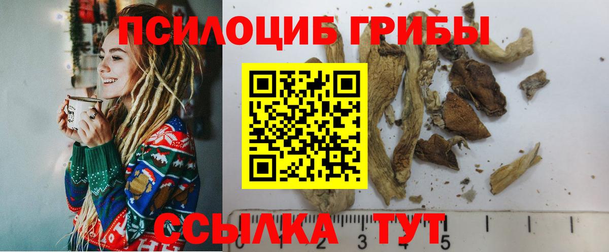 Псилоцибиновые грибы Psilocybe Приморско-Ахтарск