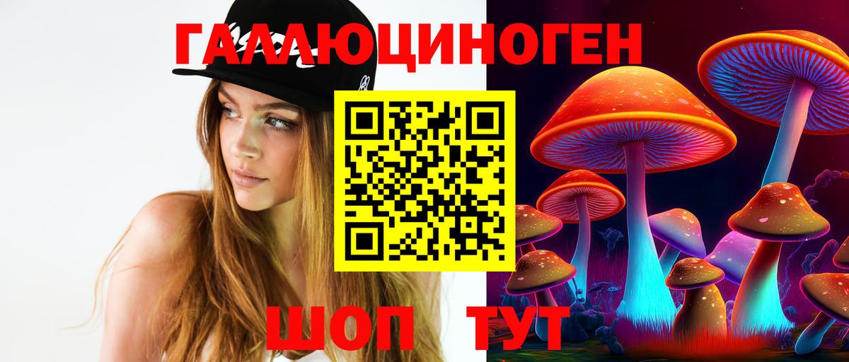 МЕФ Приморско-Ахтарск