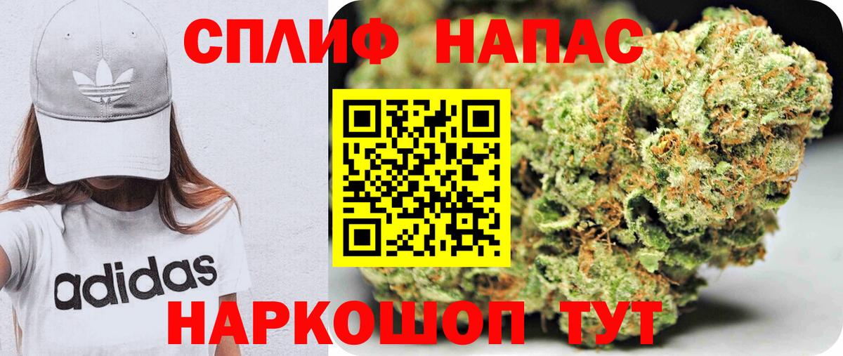 Приморско-Ахтарск  Бошки марихуана Ganja  Шишки марихуана AK-47  Вход с VPN  Конопля гибрид 